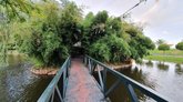 Island with a bamboo grove on Lake Ardagani