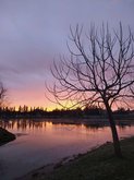 Lake Cold