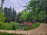 Lake (botanical garden)