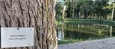 Lake (botanical garden)