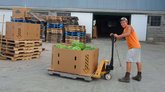 Pallet Trucks
