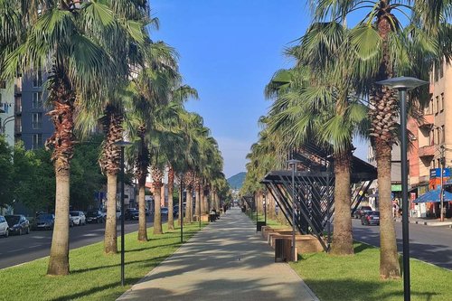 Palm alley
