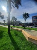 Palm alley