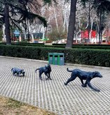 Monument to Stray Dogs of Tbilisi