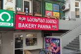 Panina