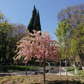 Georgiy Leonidze Park