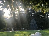Nadikvari Park