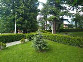 Nadikvari Park