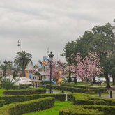 Park near the Batumi Drama Theater