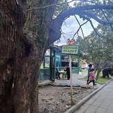 Платный туалет в сквере возле Кафедрального собора