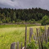 Летние высокогорные пастбища Адигени