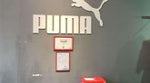 Puma on the street Vazha-Pshavela, 10