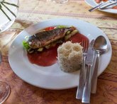 Purpur Cafe • მურაბერია