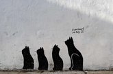 Рисунки на стенах "Черные коты"