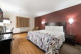 ROOF INN