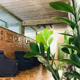 T2&T3 Rooms Levanto