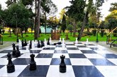 ზრდის ჭადრაკი