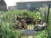 St Elijah Chapel in Sabechisi Village