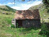 Самлоцвело Святого Саввы в Ахалшени