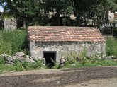 Самлоцвело Святой Екатерины в Ливади