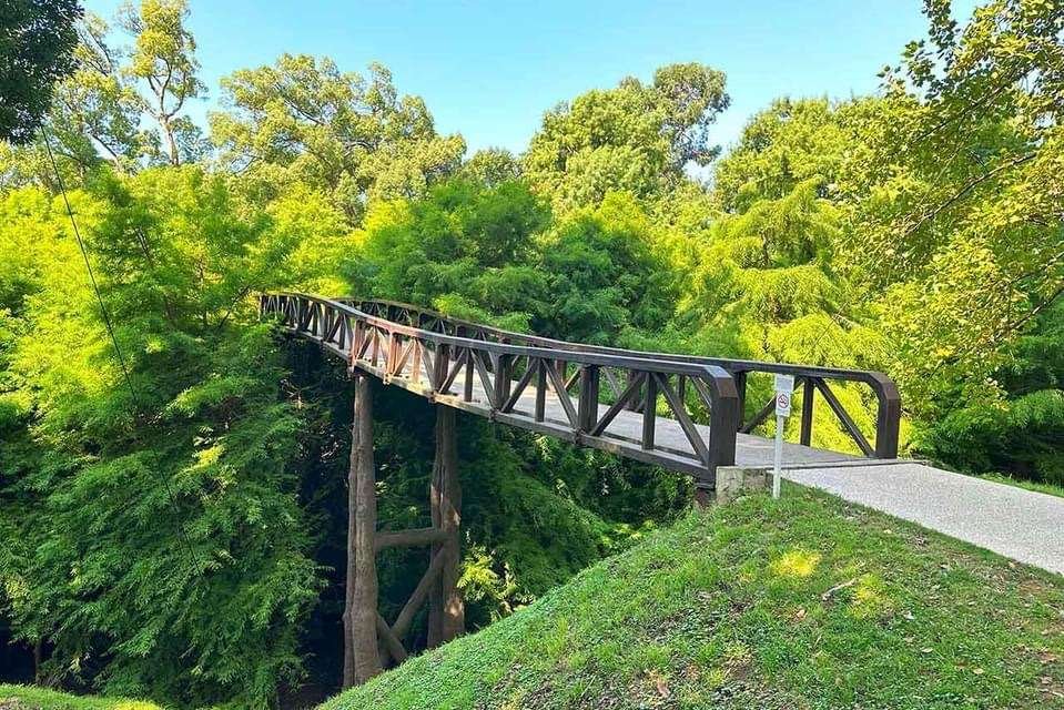 A wooden bridge surrounded by lush greenery in Shekvetili Dendrological Park.
