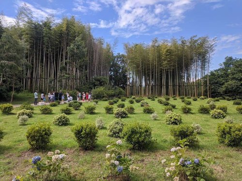 Visitors walking near the bamboo grove and landscaped garden.