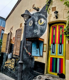 Shiva the Cat