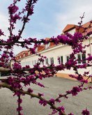 Швейная фабрика