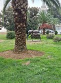 Sculpture "Deer"