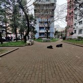 Nuzgar Japaridze Square