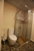 Спутник