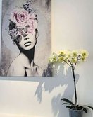 Studio Aurora