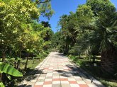 Ботанический сад в Сухуми