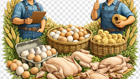 Suppliers of eggs and poultry meat