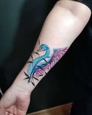 Tattoo artist Kirilltrol