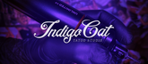 Indigo Cat