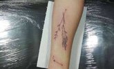 Tattoo Studio Paranoia