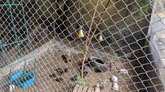 Tbilisi Zoo