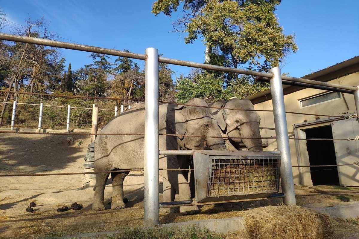 Tbilisi Zoological Park