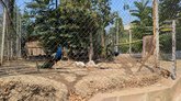 Tbilisi Zoo