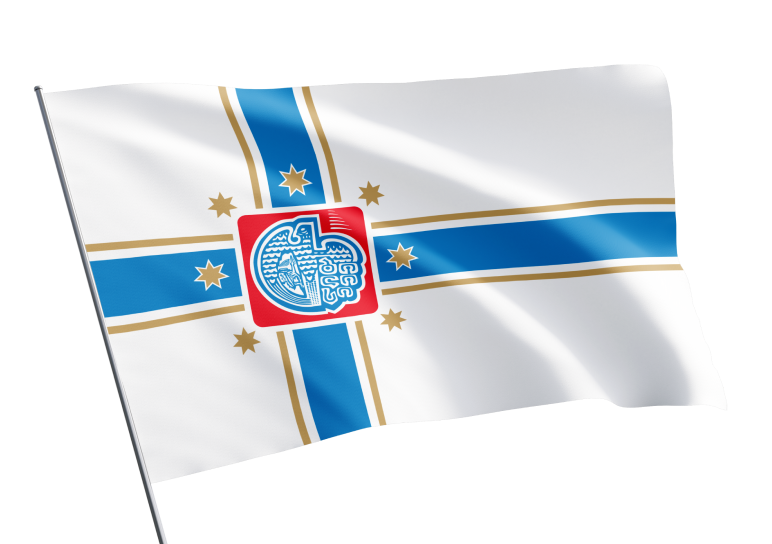 Tbilisi flag