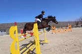 Hippodrome