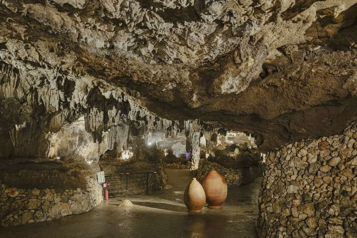 Tetra Cave