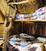 ხის სახლ