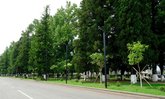 Центральная площадь Мартвили