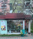 Цветочный магазин Flowers shop (eva)