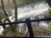 Martvili Canyon tour