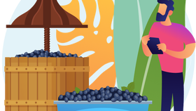 🍇 Винодельни