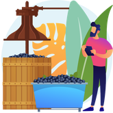🍇 Винодельни