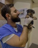 ვეტმედი